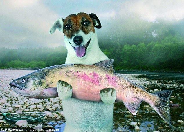 haioase - 995228741716045844093322201846n.jpg